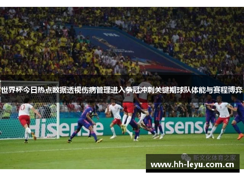 世界杯今日热点数据透视伤病管理进入争冠冲刺关键期球队体能与赛程博弈